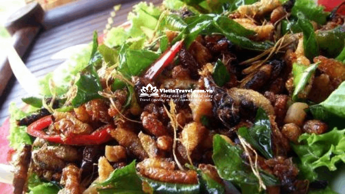 Gỏi nhộng ong rừng U Minh