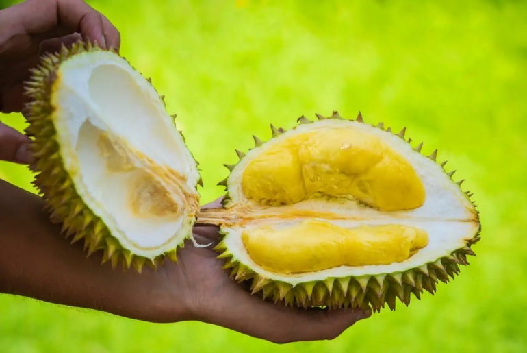 Mua gì về làm quà khi đi du lịch Đắk Nông
