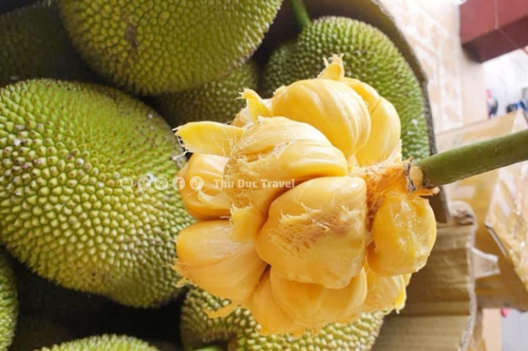 Mít Tố Nữ – Hương sắc dịu dàng của vườn quê Nam Bộ