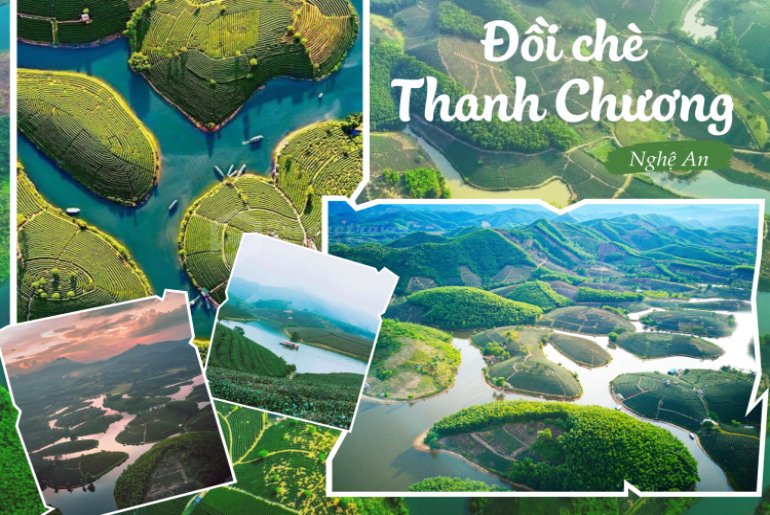 Ngỡ ngàng trước vẻ đẹp kỳ ảo của đồi chè Thanh Chương Nghệ An