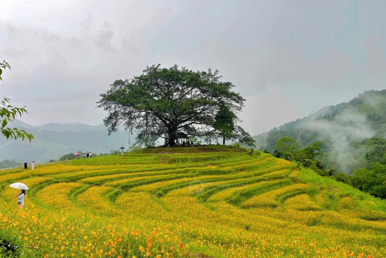 Du lịch Cao Phong - Trải nghiệm du lịch cộng đồng Hòa Bình