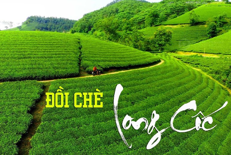 Đồi Chè Long Cốc - Thiên đường du lịch mới Phú Thọ