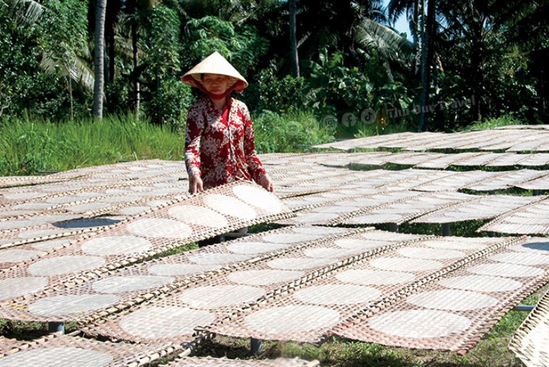 Bánh Tráng Mỹ Lồng – Giòn Thơm Hương Gạo