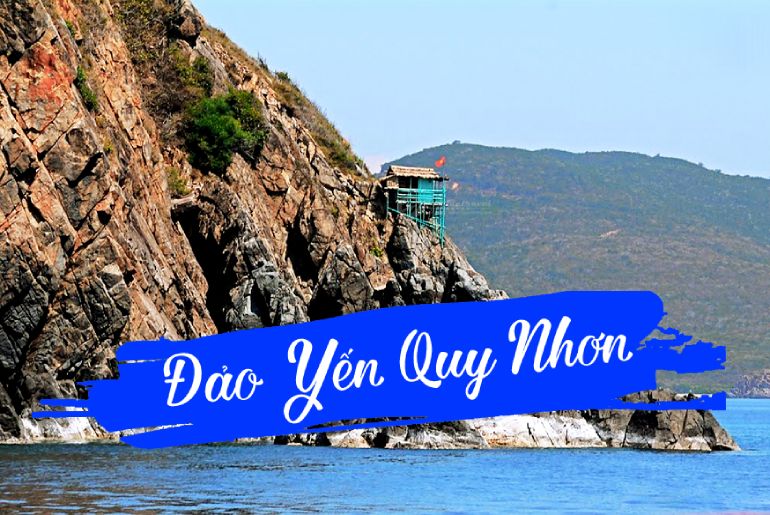 Đảo Yến Quy Nhơn Bình Định - Những công dụng tuyệt vời của tổ yến