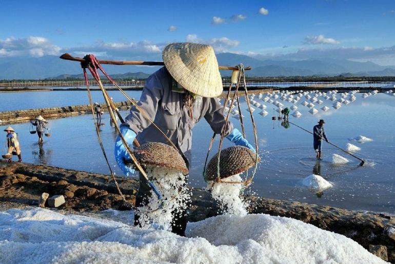 Cánh Đồng Muối Sa Huỳnh – Chiêm Ngưỡng Nét Đẹp Lao Động Nơi Nắng Gió