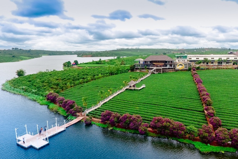 Du lịch Đà Lạt I Tour du lịch Đà Lạt 3 ngày 3 đêm cùng Du lịch Thủ Đức