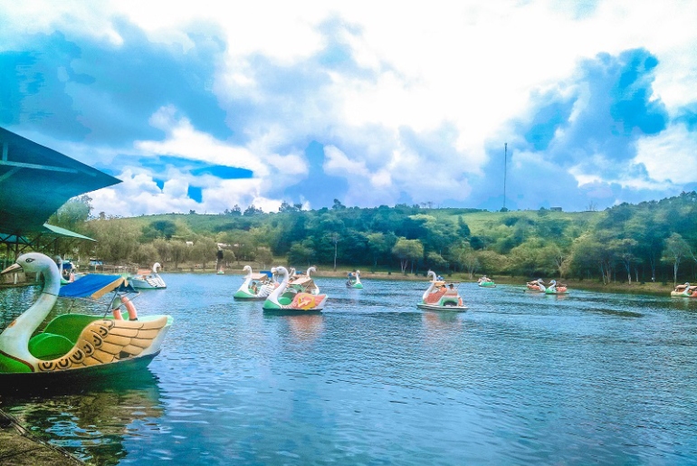 Bảo Lộc I Tour du lịch Bảo Lộc 2 ngày 2 đêm - Thiên Đường Nghỉ Dưỡng