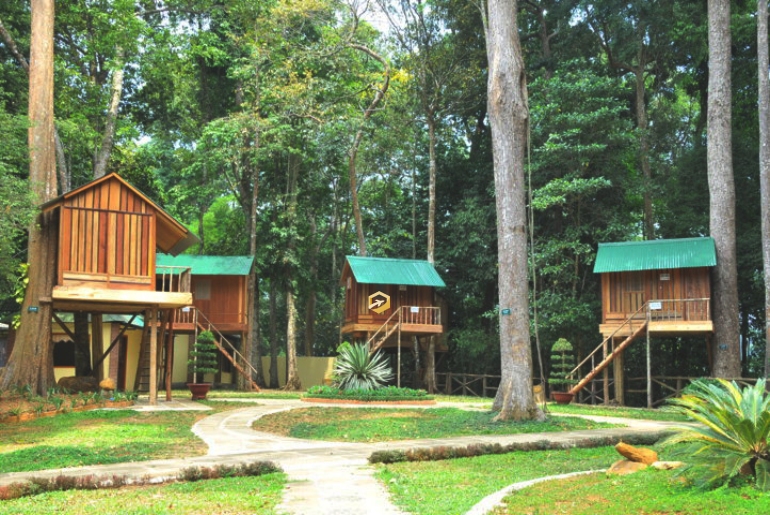 Bảo Lộc I Tour du lịch Bảo Lộc 2 ngày 2 đêm - Thiên Đường Nghỉ Dưỡng