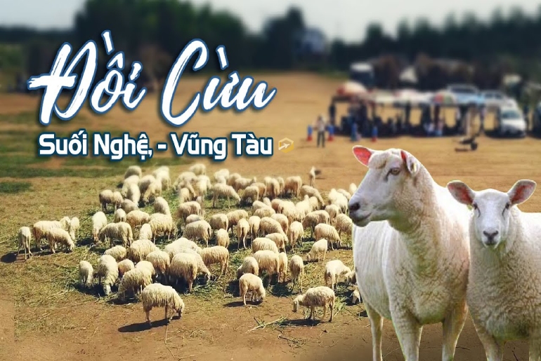 Tour Vũng Tàu I Tour du lịch Vũng Tàu - Vịnh Marina 2 ngày 1 đêm