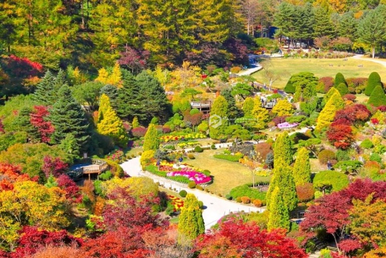 Tour Mùa Lá Đỏ Hàn Quốc - Seoul - Nami Island – Everland 4 ngày 4 đêm