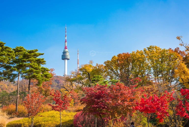 Tour Mùa Lá Đỏ Hàn Quốc - Seoul - Nami Island – Everland 4 ngày 4 đêm