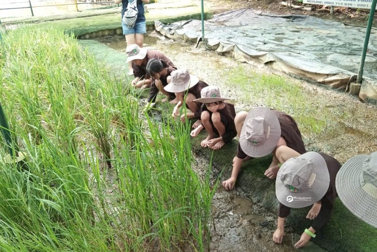 Tour Hướng Nghiệp Học Sinh Nông Trại Rồng 1 Ngày - Dragon Farm Quận 9